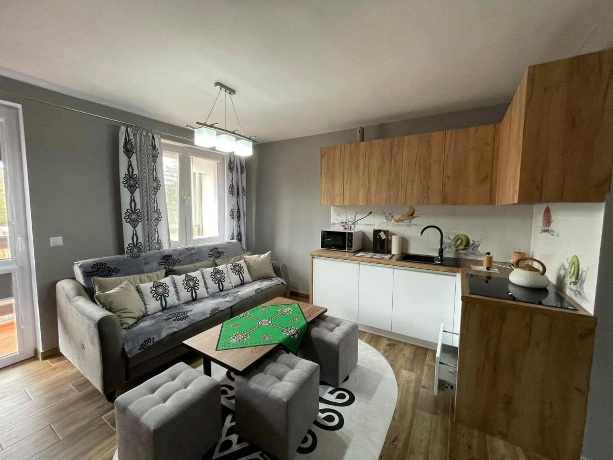 Apartamentylove - Apartament U Janicka, 100M Do Krupowek Zakopane Ngoại thất bức ảnh